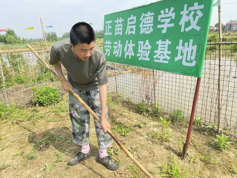 江苏镇江戒网瘾学校(图2)